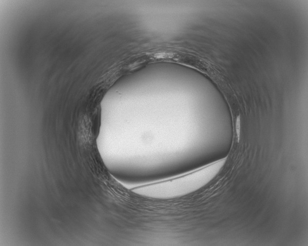 X0000059051443200510070839