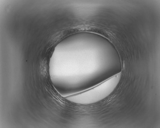 X0000059051444200510070839