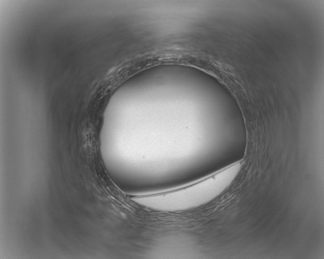 X0000059051445200510070839