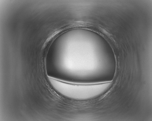 X0000059051453200510070839