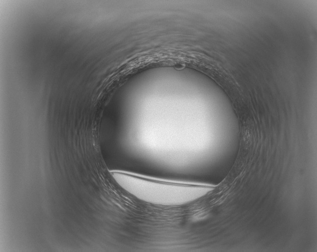 X0000059051490200510070837