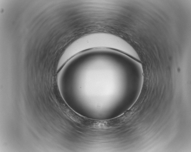 X0000059050080200510071054