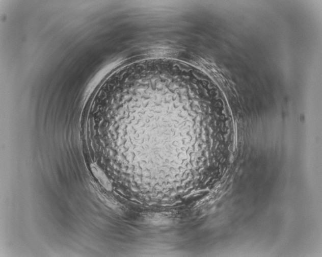 X0000059050147200510071052