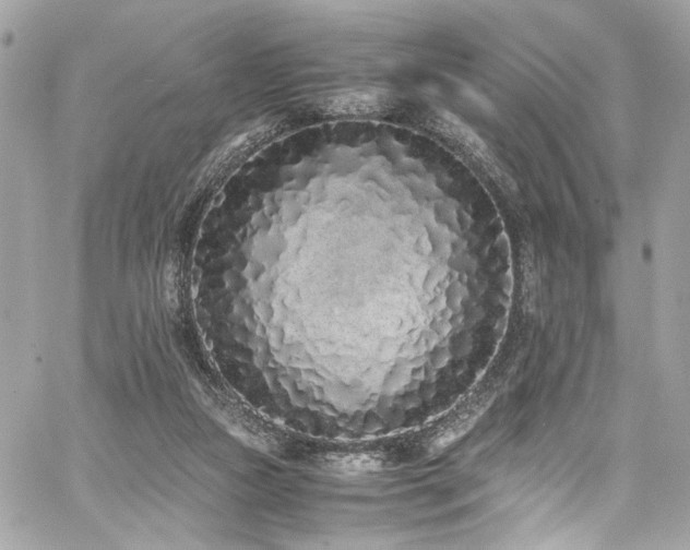 X0000059050161200510071052