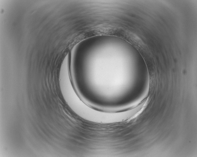 X0000059050186200510071053