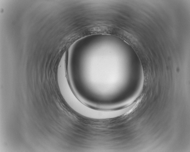 X0000059050187200510071053