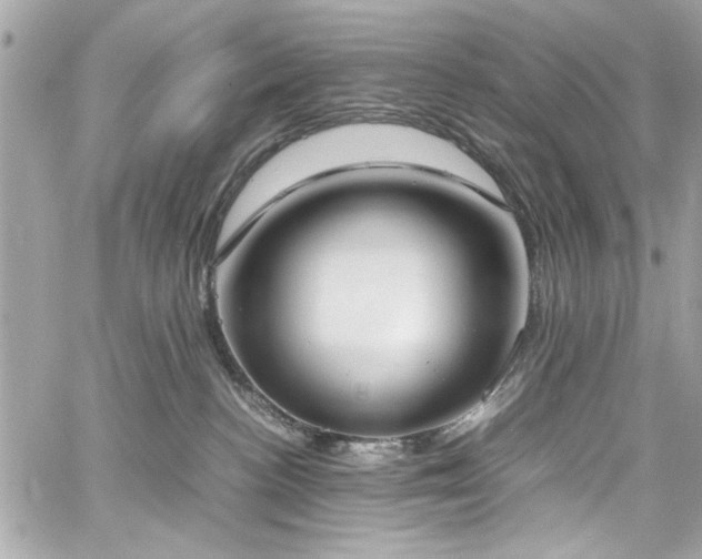 X0000059050188200510071053