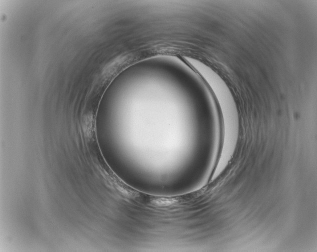 X0000059050189200510071053