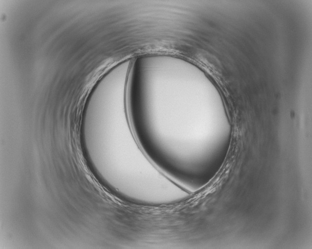 X0000059050193200510071052