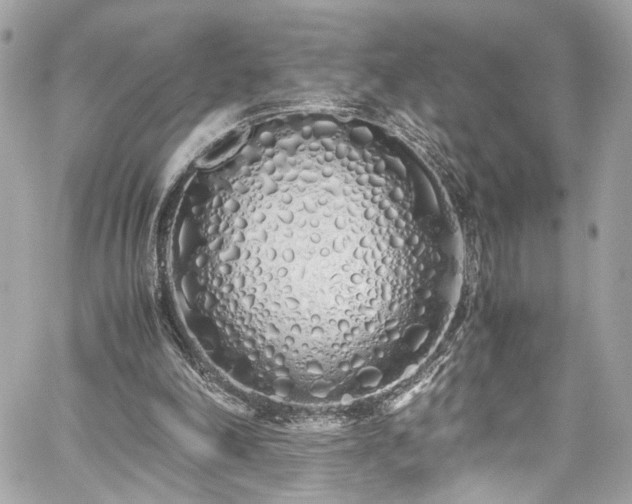 X0000059050198200510071052