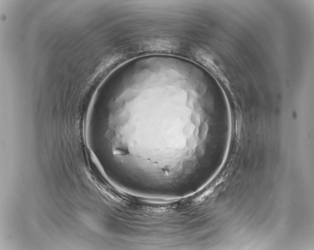 X0000059050249200510071050