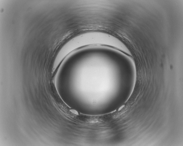 X0000059050264200510071051