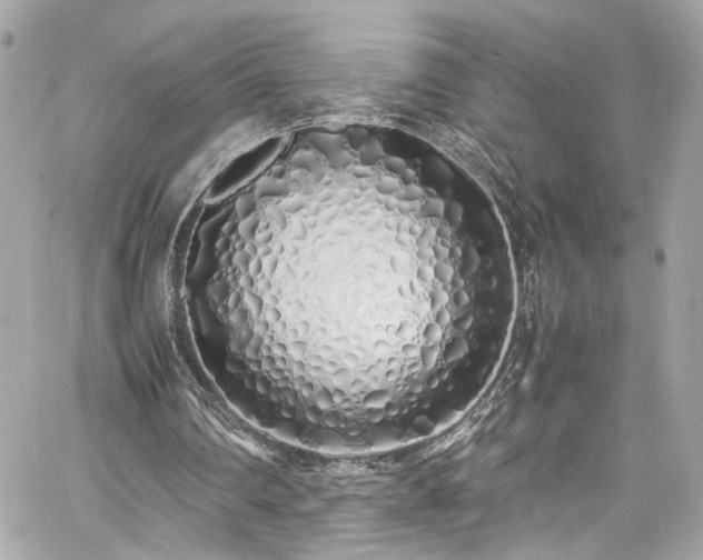 X0000059050290200510071050