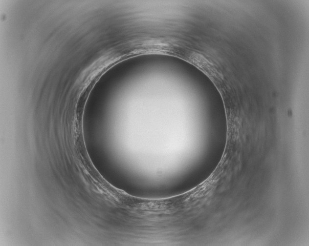 X0000059050338200510071049