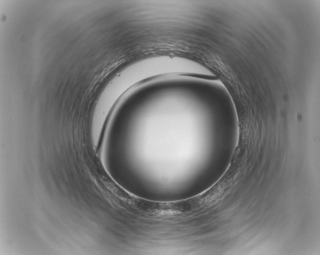 X0000059050360200510071049