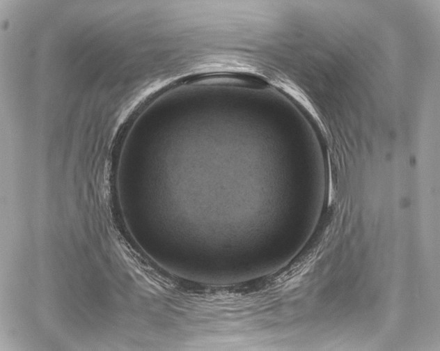 X0000059050387200510071049