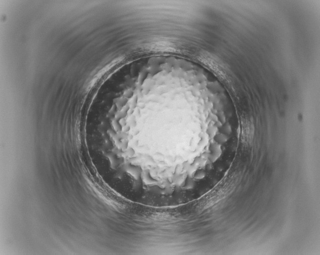 X0000059050390200510071049