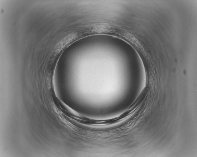 X0000059050393200510071048