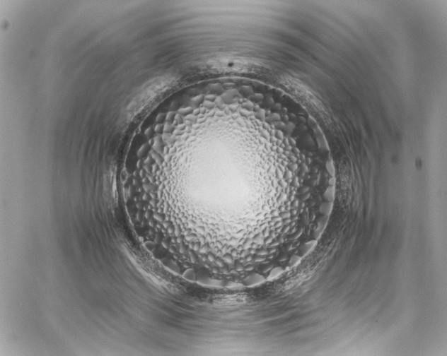 X0000059050398200510071048