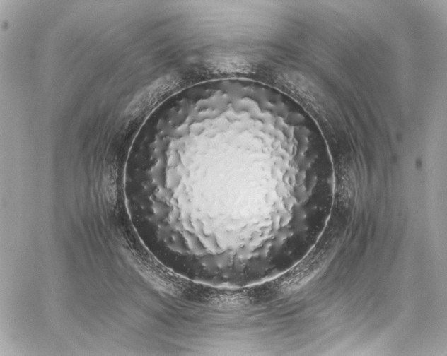 X0000059050402200510071048