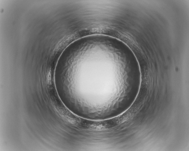 X0000059050502200510071047