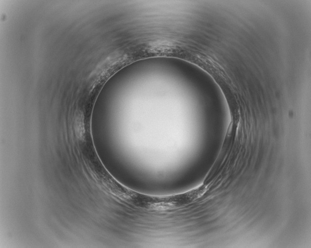 X0000059050508200510071047