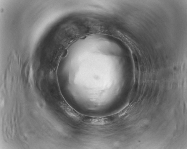 X0000059050524200510071046