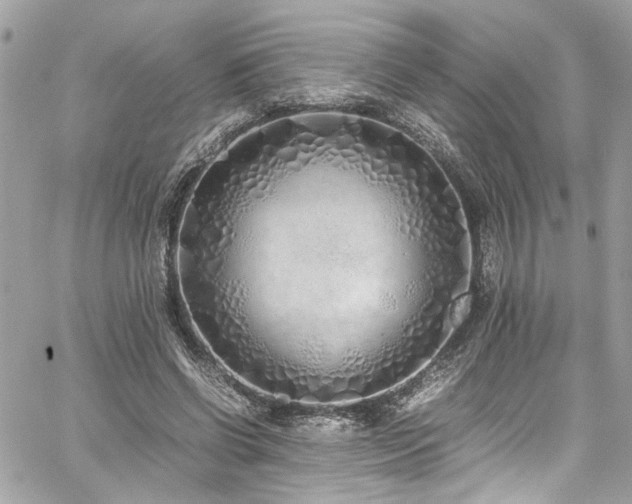 X0000059050542200510071046