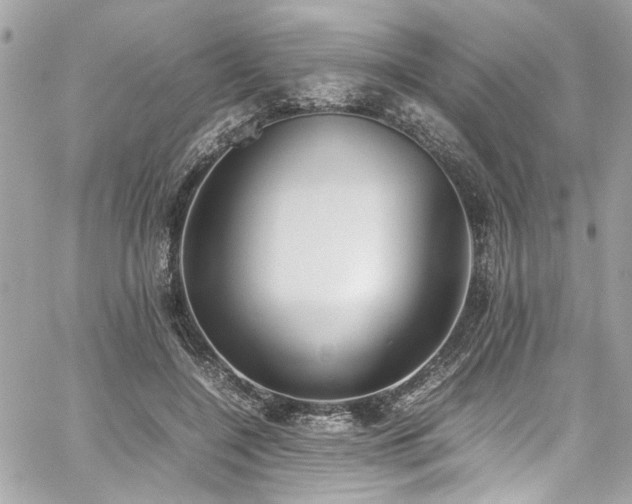 X0000059050548200510071046