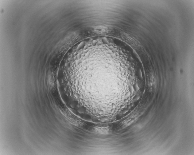 X0000059050606200510071045