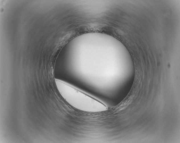 X0000059050624200510071045