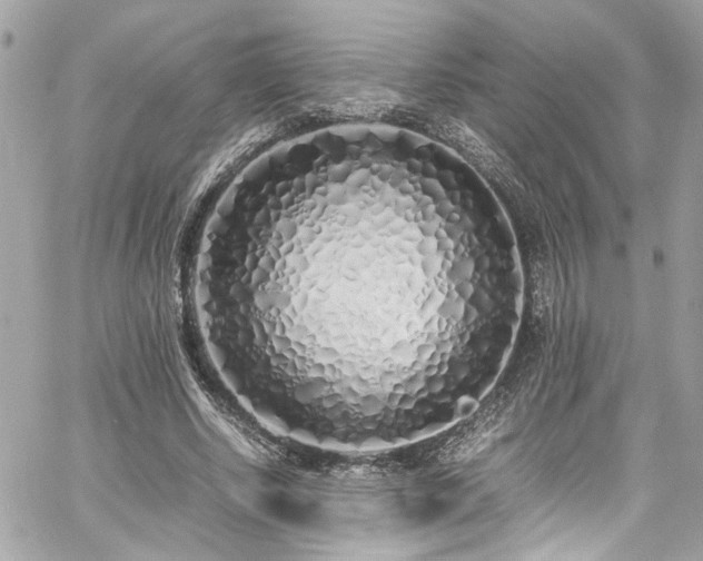 X0000059050634200510071044