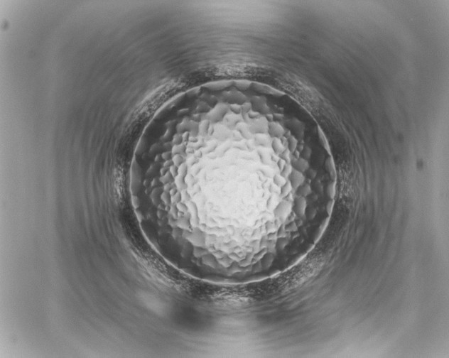 X0000059050648200510071044