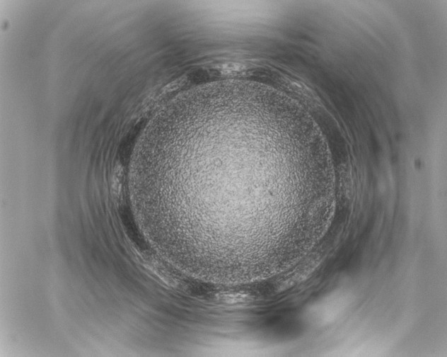 X0000059050650200510071044