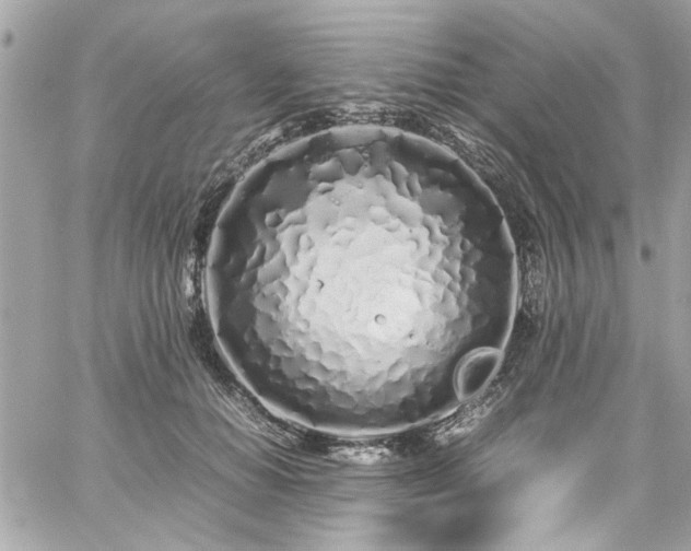 X0000059050654200510071044