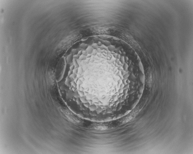 X0000059050658200510071044