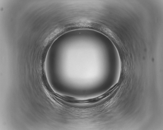 X0000059050677200510071044