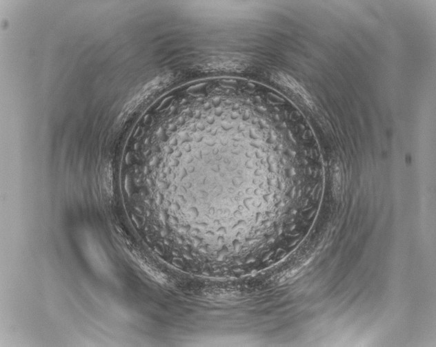 X0000059050729200510071042