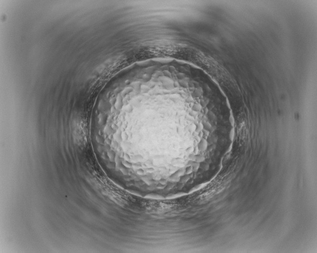 X0000059050772200510071042