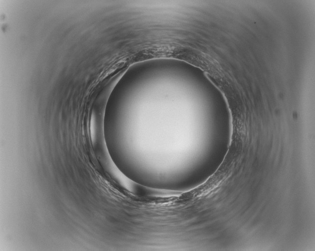 X0000059050818200510071040