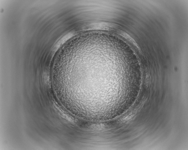 X0000059050882200510071040