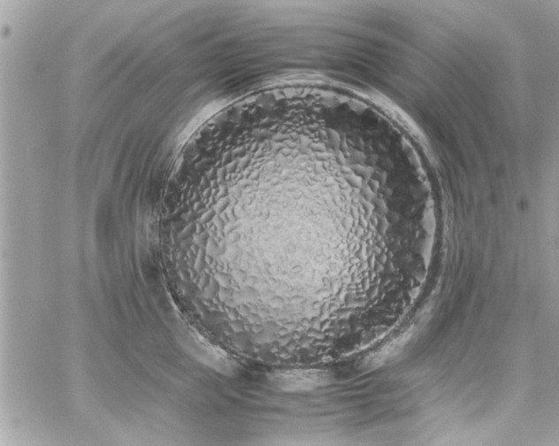 X0000059050953200510071039