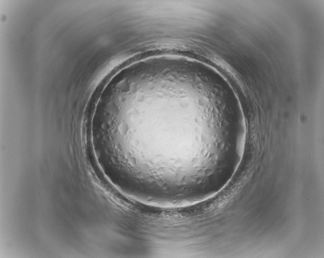 X0000059050983200510071038