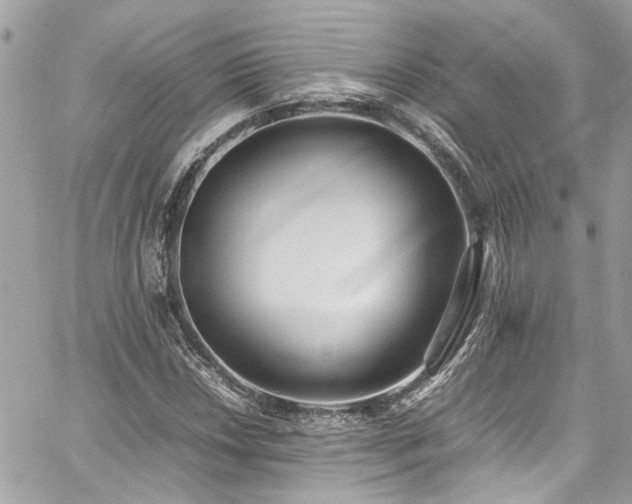 X0000059051018200510071037