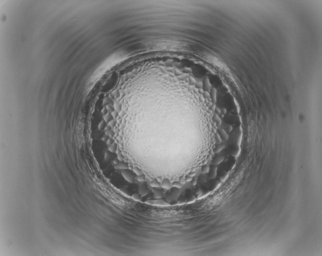 X0000059051019200510071037