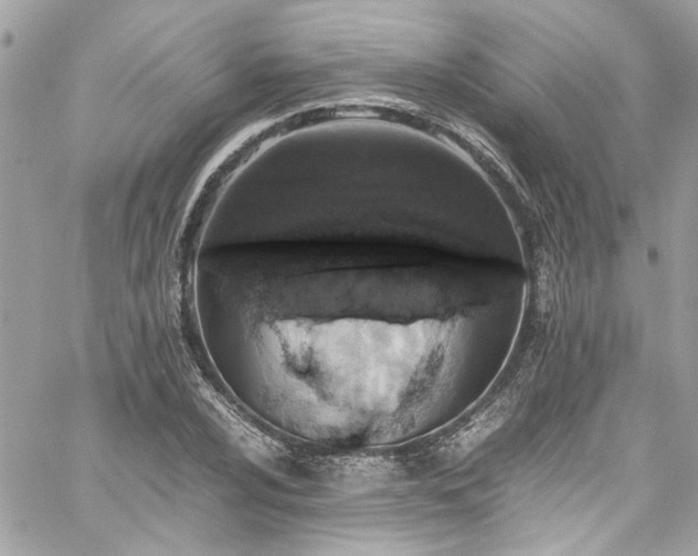 X0000059051024200510071037