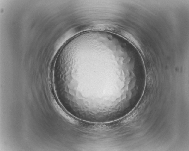X0000059051091200510071037