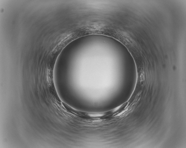 X0000059051156200510071036