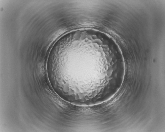X0000059051170200510071035