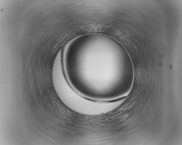 X0000059051202200510071034